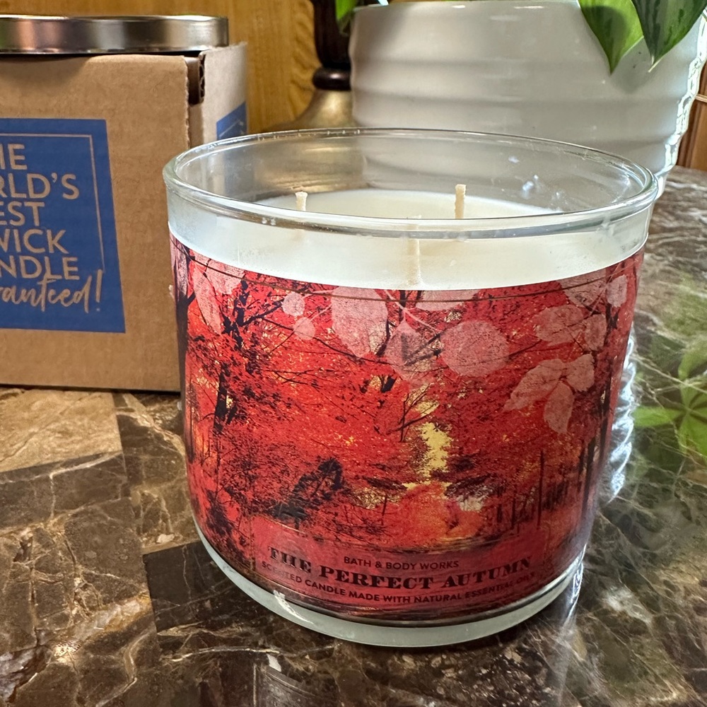 The Perfect Autumn 3-Wick Candle